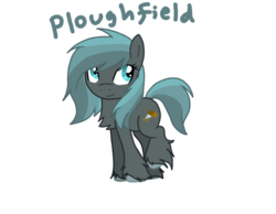 Size: 900x700 | Tagged: safe, artist:artybeat, oc, oc only, oc:ploughfield, pony, chest fluff, female, gray, mare, shirepony, solo, unshorn fetlocks