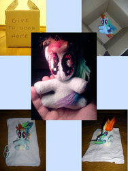 Size: 774x1032 | Tagged: dead source, safe, artist:tkc, rainbow dash, fanfic:my little dashie, g4, cardboard box, female, irl, photo, plushie