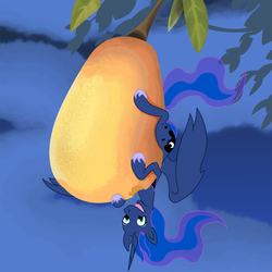Size: 1000x1000 | Tagged: safe, artist:philith, princess luna, g4, eating, female, food, fruit, herbivore, imminent stuffing, mango, micro, solo, stellaluna, suspended, tiny, upside down