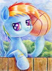 Size: 700x951 | Tagged: safe, artist:maytee, rainbow dash, pegasus, pony, g4, ball, bandaid, basketball, female, filly, filly rainbow dash, solo, traditional art, younger