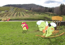 Size: 2591x1784 | Tagged: safe, artist:sinayastarchild, artist:smurph12345, apple bloom, big macintosh, granny smith, earth pony, pony, g4, cart, chair, field, hay, irl, male, photo, ponies in real life, power line, road, stallion, vector