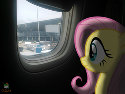 Size: 3264x2448 | Tagged: safe, artist:ojhat, artist:razer1103, fluttershy, human, g4, airport, irl, photo, plane, ponies in real life, shadow, vector, window