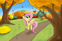 Size: 1650x1100 | Tagged: safe, artist:sameasusual, fluttershy, g4, autumn, female, leaves, solo, tree