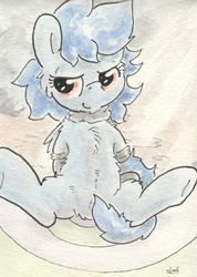Size: 676x950 | Tagged: safe, artist:slightlyshade, nightshade, pegasus, pony, g4, cheek fluff, chest fluff, clothes, female, fluffy, mare, pubic fluff, scarf, shadowbolts, shoulder fluff, socks, solo, strategically covered, tail censor, teasing, traditional art