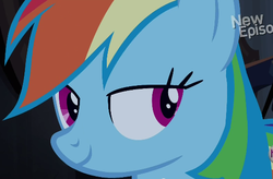 Size: 524x344 | Tagged: safe, screencap, rainbow dash, castle mane-ia, g4, female, lidded eyes, solo