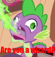 Size: 219x226 | Tagged: safe, spike, castle mane-ia, g4, are you a wizard, caption, derp, faic, fire, image macro, male, solo, text