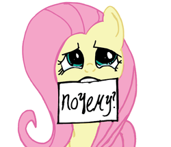 Size: 588x506 | Tagged: safe, artist:nahmala, fluttershy, g4, female, flutterwhy, mouth hold, note, russian, solo