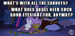 Size: 361x176 | Tagged: safe, angel bunny, spike, twilight sparkle, alicorn, pony, castle mane-ia, g4, my little pony: friendship is magic, book, carrot, image macro, twilight sparkle (alicorn)