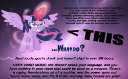 Size: 2560x1600 | Tagged: safe, twilight sparkle, g4, alicorn drama, bronybait, crying, drama, female, game, meme, solo, text, twilight sparkle (alicorn), what do