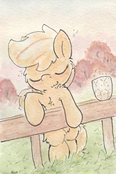 Size: 681x1018 | Tagged: safe, artist:slightlyshade, applejack, earth pony, pony, g4, bipedal, bipedal leaning, chest fluff, cider, drunk, drunk aj, eyes closed, female, solo, traditional art