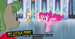 Size: 1151x609 | Tagged: safe, screencap, applejack, chickadee, fluttershy, ms. peachbottom, pinkie pie, rainbow dash, g4, meme, my little pussy screeched, youtube caption