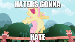 Size: 700x391 | Tagged: safe, edit, edited screencap, screencap, fluttershy, g4, may the best pet win, female, haters gonna hate, image macro, nose in the air, open mouth, solo