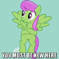 Size: 400x400 | Tagged: safe, edit, edited screencap, screencap, merry may, g4, it's about time, background pony, caption, cropped, crossed hooves, female, image macro, not so merry may, reaction image, smirk, solo, you must be new here