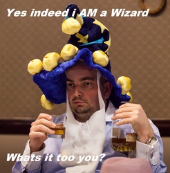 Size: 1573x1600 | Tagged: safe, edit, star swirl the bearded, human, g4, alcohol, are you a wizard, caption, cosplay, grammar, irl, irl human, peter new, photo, solo, text, whiskey, wizard