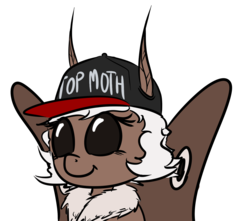 Size: 1318x1165 | Tagged: safe, artist:wuzzlefluff, oc, oc only, oc:squeak, mothpony, original species, baseball cap, hat, moth pony general, solo, top gun