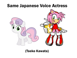 Size: 800x600 | Tagged: safe, sweetie belle, g4, amy rose, crossover, exploitable meme, meme, same voice actor, slowpoke, sonic the hedgehog (series), taeko kawata, video game, we know