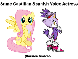 Size: 800x600 | Tagged: safe, fluttershy, g4, blaze the cat, carmen ambrós, castilian spanish, exploitable meme, male, meme, same voice actor, sonic generations, sonic the hedgehog, sonic the hedgehog (series)