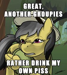 Size: 800x889 | Tagged: safe, daring do, pegasus, pony, g4, bear grylls, better drink my own piss, dare grylls, female, image macro, implied piss drinking, mare, meme, solo