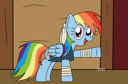 Size: 1700x1121 | Tagged: safe, artist:toonboy92484, rainbow dash, g4, female, pirate, solo