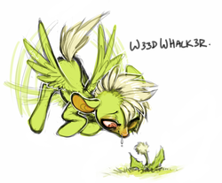 Size: 800x662 | Tagged: safe, artist:dogrot, oc, oc only, oc:weed whacker, dandelion, solo