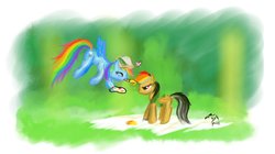 Size: 1024x573 | Tagged: safe, daring do, rainbow dash, g4, heart, paint, paint in hair, unamused
