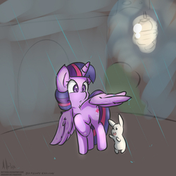 Size: 1000x1000 | Tagged: safe, artist:makoruu, angel bunny, twilight sparkle, alicorn, pony, g4, female, mare, rain, twilight sparkle (alicorn), wing umbrella