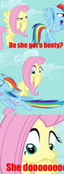 Size: 590x1591 | Tagged: safe, edit, edited screencap, screencap, fluttershy, rainbow dash, pegasus, pony, g4, caption, comic, do she got a booty, female, mare, out of context, screencap comic