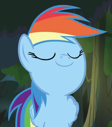 Size: 572x647 | Tagged: safe, rainbow dash, daring don't, g4, female, smugdash, solo