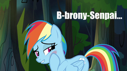 Size: 1280x720 | Tagged: safe, edit, edited screencap, screencap, rainbow dash, pegasus, pony, g4, blushing, bronybait, caption, cute, dashabetes, female, image macro, inverted mouth, out of character, out of context, senpai, solo, text, uguu