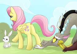 Size: 714x504 | Tagged: safe, artist:norang94, angel bunny, discord, fluttershy, draconequus, pegasus, pony, rabbit, g4, animal, butt, eyes on the prize, female, male, mare, plot, ship:discoshy, shipping, straight