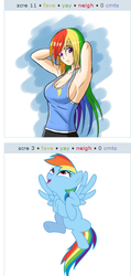 Size: 260x545 | Tagged: safe, artist:zantyarz, rainbow dash, human, derpibooru, g4, breasts, busty rainbow dash, cleavage, exploitable meme, female, humanized, juxtaposition, juxtaposition win, light skin, meme, meta, narcissism