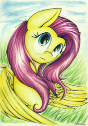 Size: 900x1278 | Tagged: safe, artist:moonlightfl, fluttershy, g4, female, solo, traditional art