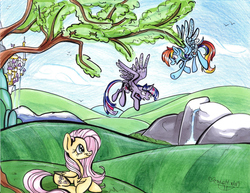 Size: 2202x1696 | Tagged: safe, artist:frostykat13, fluttershy, rainbow dash, twilight sparkle, alicorn, pony, g4, canterlot, female, flying, frown, mare, smiling, spread wings, traditional art, tree, twilight sparkle (alicorn), watching