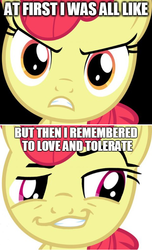 Size: 480x792 | Tagged: safe, apple bloom, daring don't, g4, my little pony: friendship is magic, image macro, love and tolerance, meme, smugdash