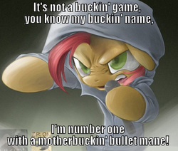 Size: 612x520 | Tagged: safe, babs seed, pony, g4, babs the rapper, exploitable meme, female, image macro, lyrics, meme, muthafucka, ponified, solo, xzibit