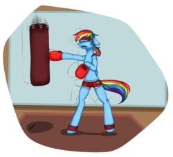 Size: 2449x2222 | Tagged: safe, artist:koko-nya, rainbow dash, pegasus, pony, semi-anthro, g4, bipedal, boxing, boxing gloves, clothes, female, headband, mare, open mouth, shorts, solo, sports