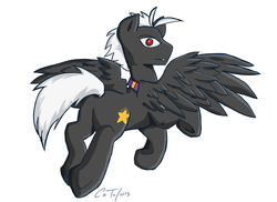Size: 1024x745 | Tagged: safe, artist:cee, artist:rdk, oc, oc only, pegasus, pony, freefall, shadowbolts, solo