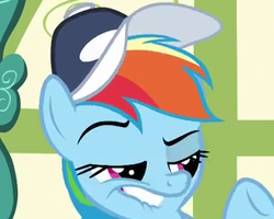 Size: 307x245 | Tagged: safe, rainbow dash, pegasus, pony, flight to the finish, g4, bust, face, female, hat, lip bite, mare, solo