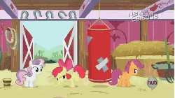 Size: 480x270 | Tagged: safe, screencap, apple bloom, scootaloo, sweetie belle, earth pony, pegasus, pony, unicorn, flight to the finish, g4, adorabloom, animated, apple bloom's bow, blank flank, blinking, bow, bucket, bucking, cute, cutie mark crusaders, expressive bow, female, filly, foal, gif, hair bow, hub logo, hubble, mouth hold, one eye closed, open mouth, punching bag, raised hoof, sitting, sweat, the hub