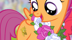 Size: 1920x1080 | Tagged: safe, edit, scootaloo, flight to the finish, g4, cutie mark, female, meme, solo, twilight scepter