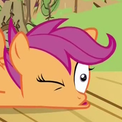 Size: 345x345 | Tagged: safe, screencap, scootaloo, flight to the finish, g4, derp, faic, female, solo