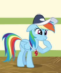 Size: 446x532 | Tagged: safe, rainbow dash, pony, flight to the finish, g4, female, scrunchy face, solo