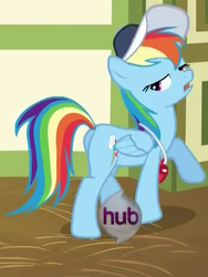 Size: 387x516 | Tagged: safe, screencap, rainbow dash, pony, flight to the finish, g4, butt, coach rainbow dash, female, hub logo, hubble, mare, plot, solo