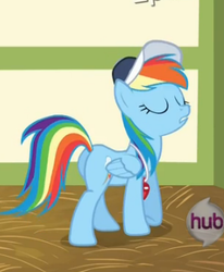 Size: 274x332 | Tagged: safe, screencap, rainbow dash, pony, flight to the finish, g4, butt, coach rainbow dash, female, hub logo, mare, plot, solo, whistle