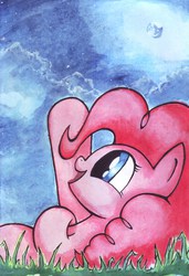 Size: 5799x8474 | Tagged: safe, artist:devotedfan012, pinkie pie, earth pony, pony, g4, absurd resolution, female, night, solo, stars, traditional art