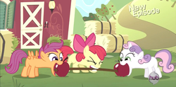 Size: 1365x674 | Tagged: safe, screencap, apple bloom, scootaloo, sweetie belle, earth pony, pegasus, pony, unicorn, flight to the finish, g4, season 4, apple, faic, female, filly, great moments in animation, weight lifting