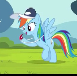 Size: 324x322 | Tagged: safe, rainbow dash, flight to the finish, g4, coach rainbow dash, cute, dashabetes, female, rainbow dashs coaching whistle, solo, that pony sure does love whistles, whistle, whistle necklace