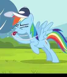 Size: 290x333 | Tagged: safe, rainbow dash, flight to the finish, g4, blowing, female, rainblow dash, rainbow dashs coaching whistle, solo, whistle, whistle necklace, whistling