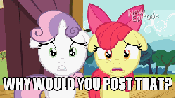 Size: 576x324 | Tagged: safe, edit, edited screencap, screencap, apple bloom, sweetie belle, flight to the finish, g4, adorabloom, animated, cute, diasweetes, eye shimmer, female, floppy ears, hub logo, hubble, image macro, reaction image, the hub, why would you post that