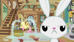 Size: 1366x768 | Tagged: safe, screencap, angel bunny, fluttershy, g4, ponyville confidential, crying, fluttershy's cottage